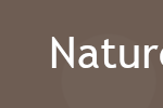 Nature Link