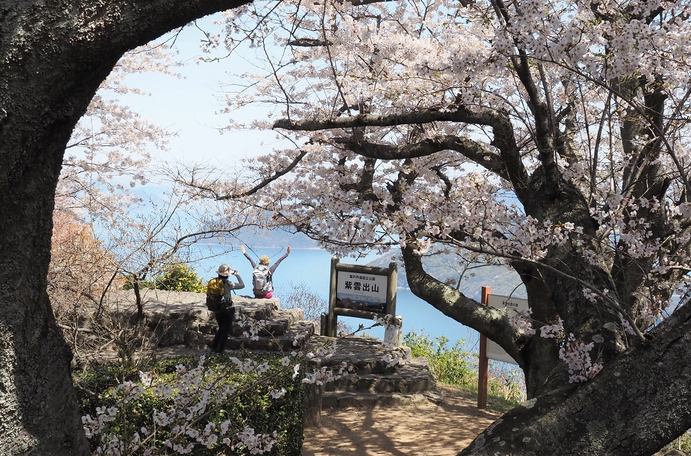 黒渕 清美 (香川県仲多度郡) 「桜の園」