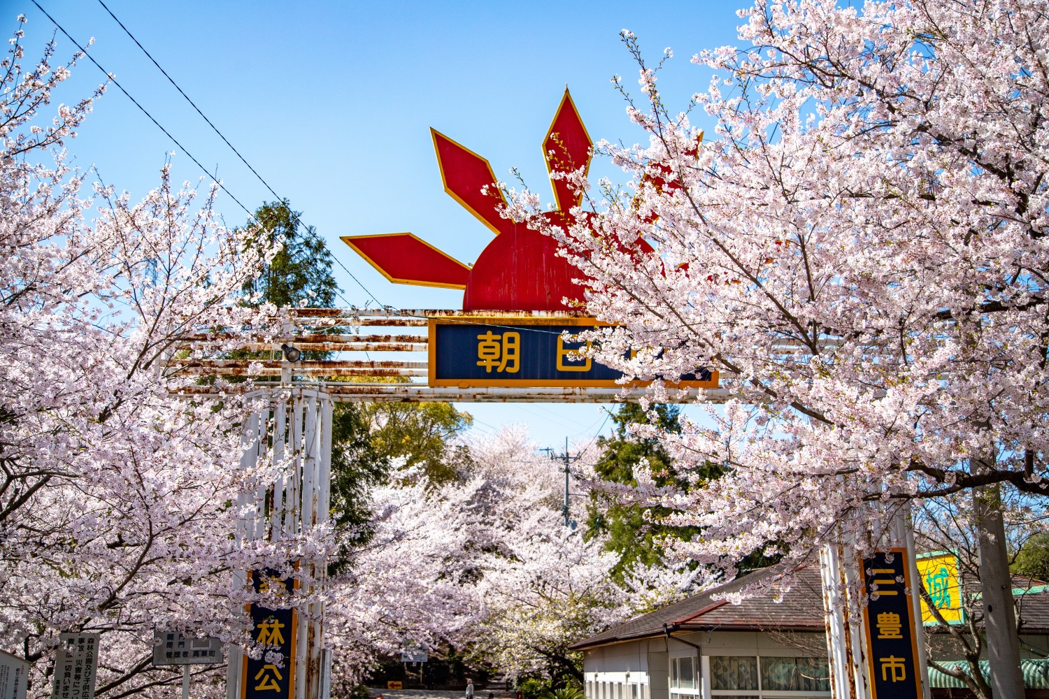 朝日山森林公園