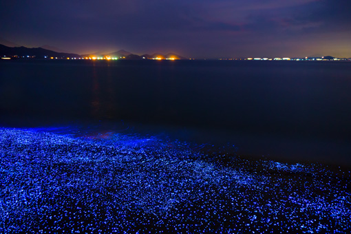 海ほたるイメージ