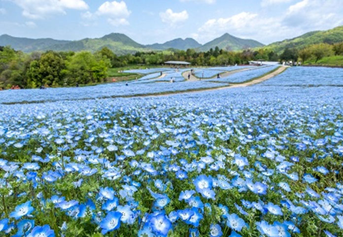 国営讃岐まんのう公園