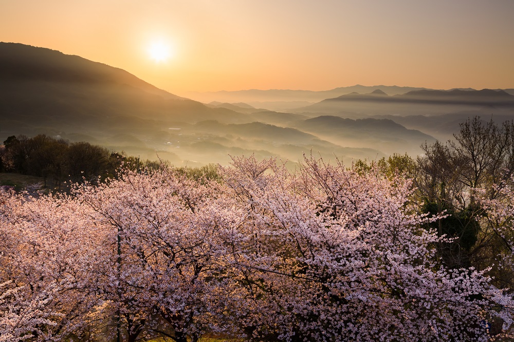 　@shosan22「絶景の朝」　