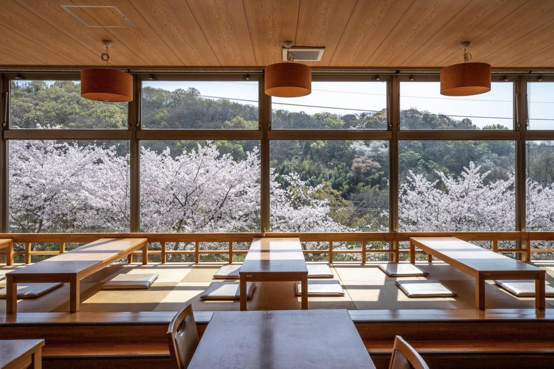 施設内にある食堂から眺める桜も人気のひとつ。団体専用の食事会場もいくつかある。