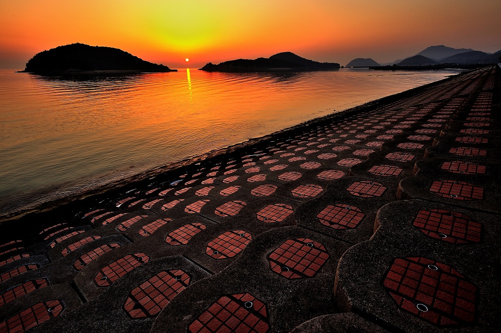 「蔦島海岸夕景」石角　尚義（三豊市）