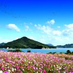 i-flowerpark