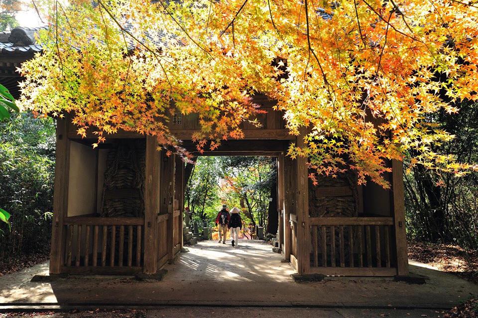 おすすめ紅葉スポット 香川県三豊市 三豊市観光交流局