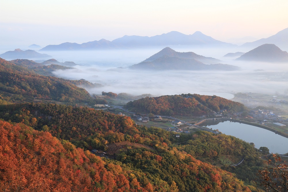 「朝日に輝く」矢野　秀明（三豊市）　　