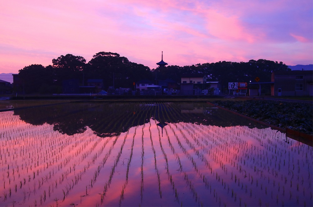 「本山寺の夜明け」　横山　彰（観音寺市）