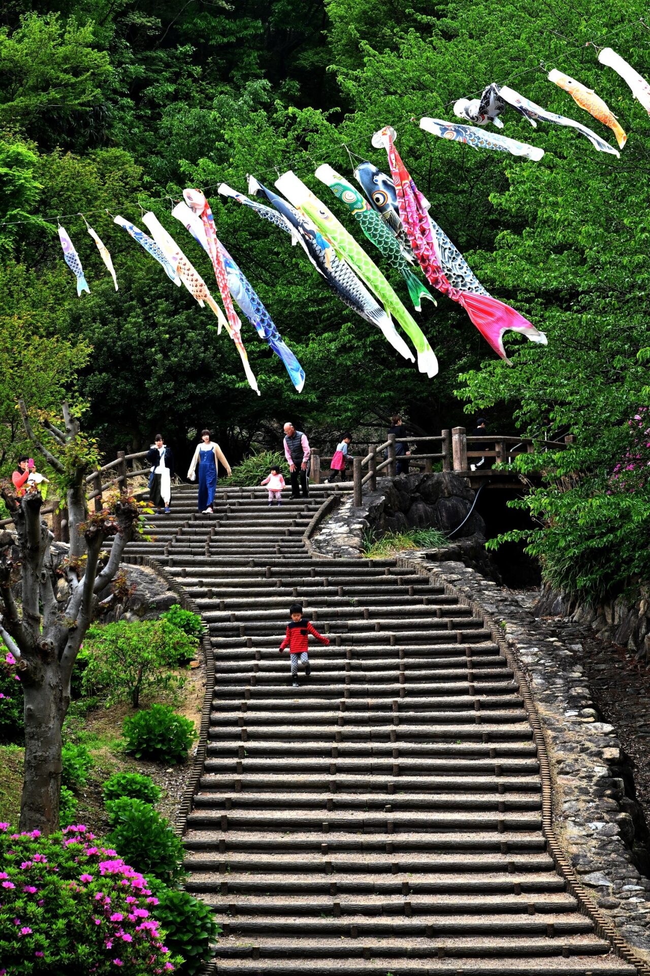 石角　尚義（三豊市）「新緑のカントリーパーク」