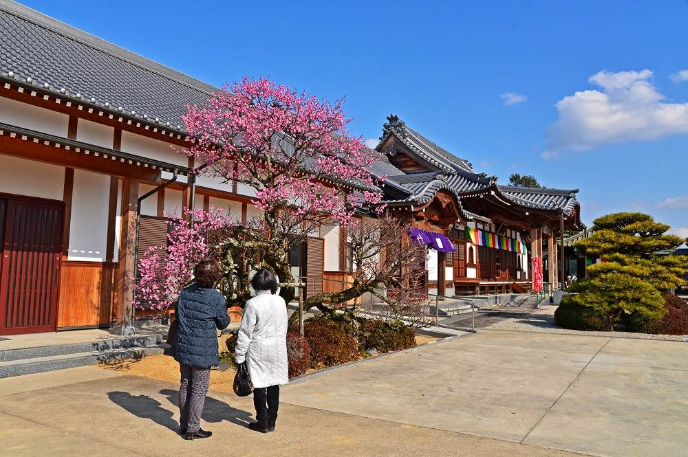 「春の香りの延命院」佐藤 雄二（四国中央市）
