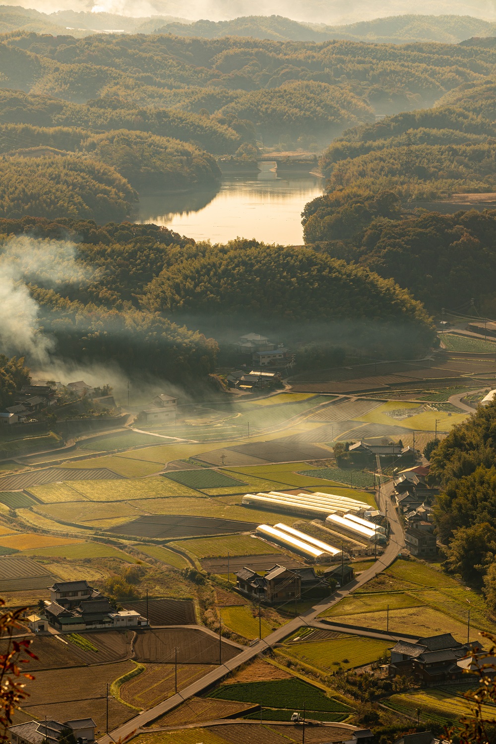 「田園風景」那須 壮一郎（高松市）