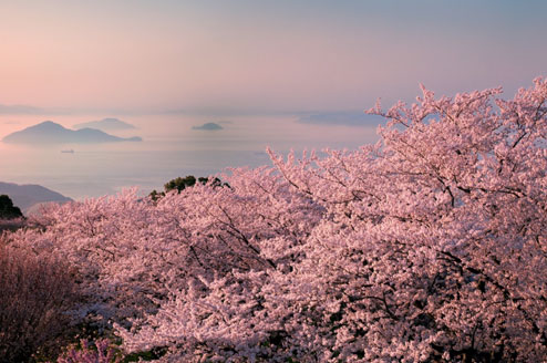 紫雲出山山頂展望台