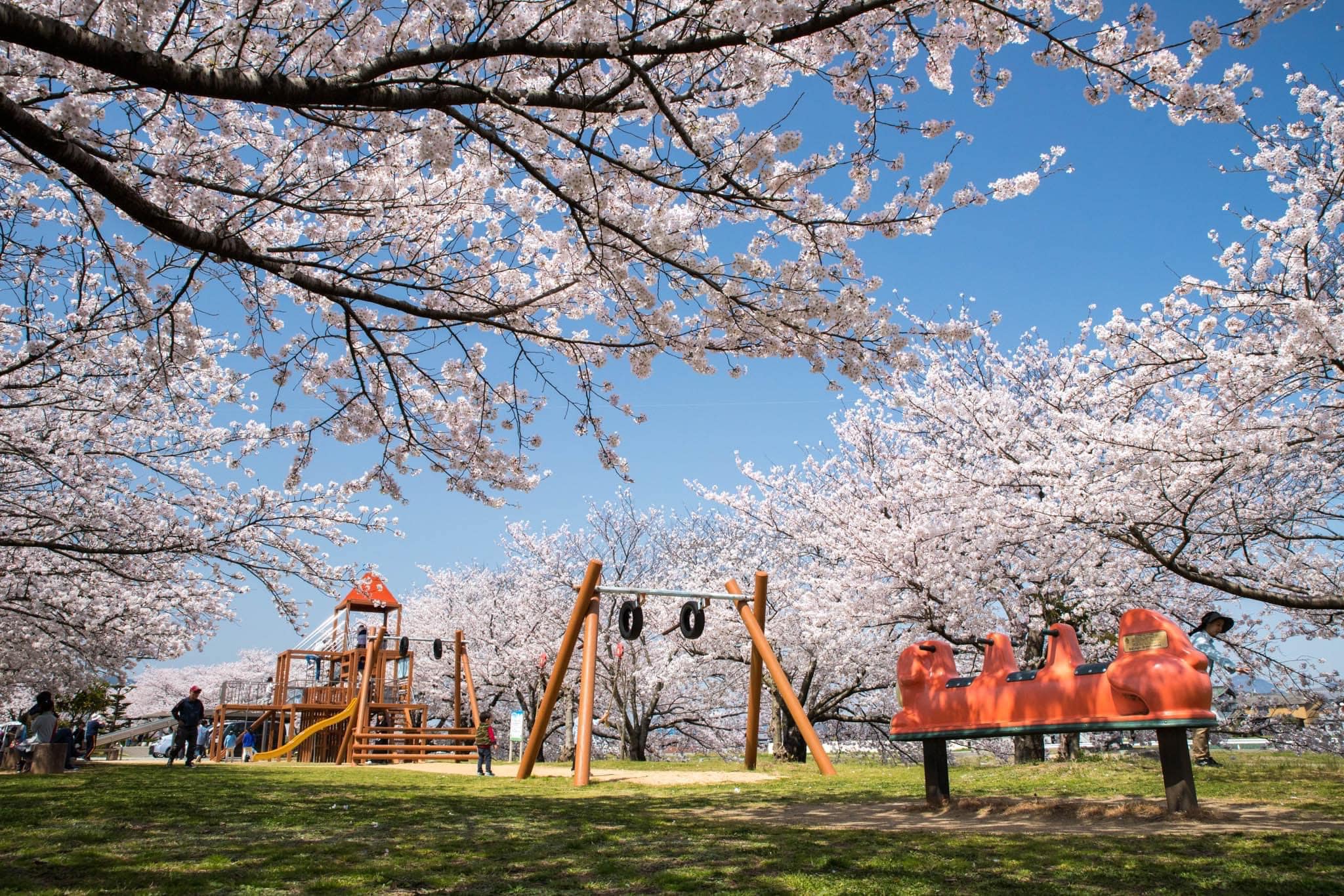 水辺公園