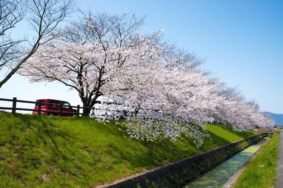 水辺公園