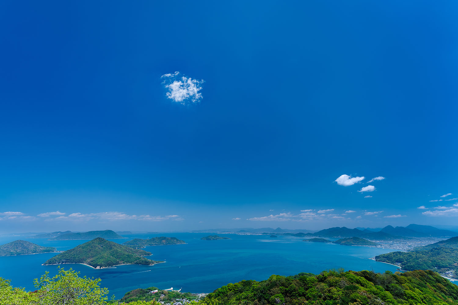 長尾 英恭（香川県丸亀市）　「初夏ちかし」