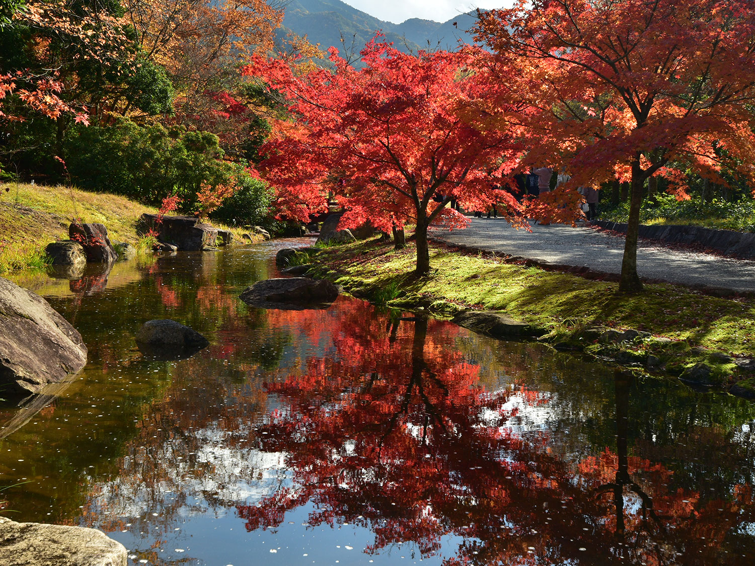 相津 好江（香川県綾歌郡）　「秋景」