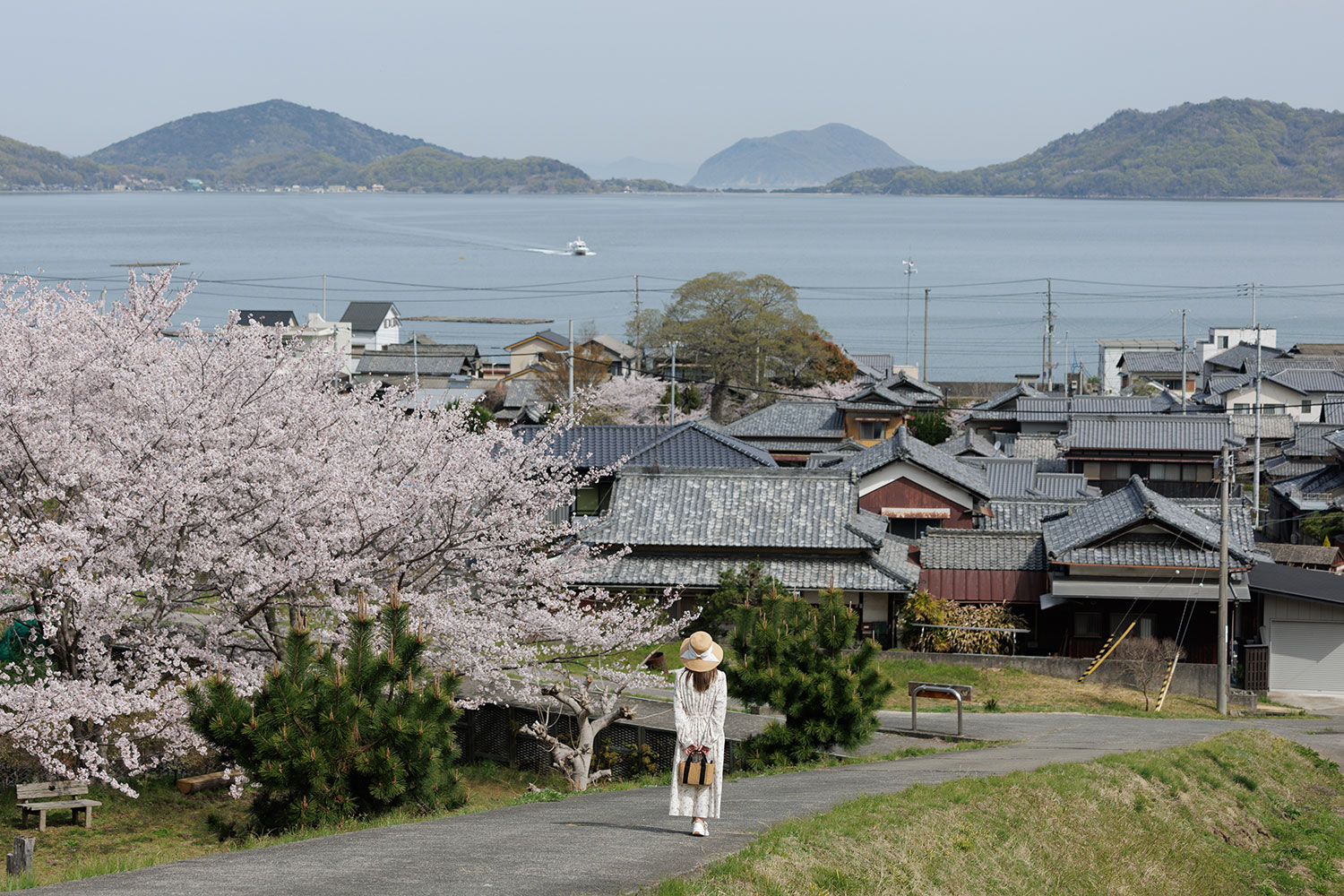 @tsuru_gram_　「桜坂の上から」