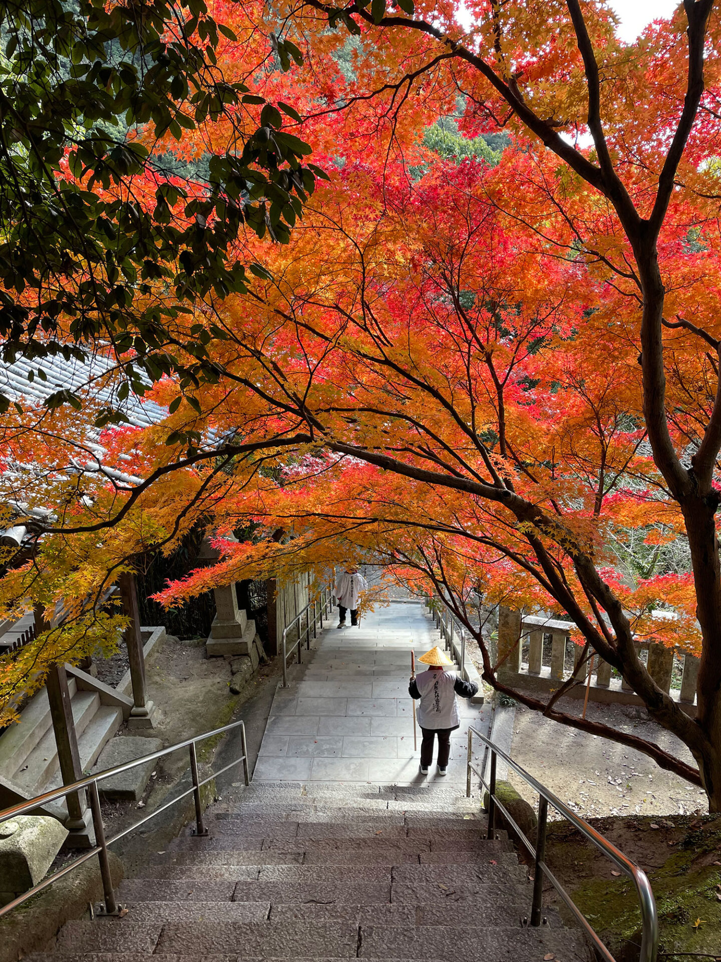@taotomotao　「秋の弥谷寺」