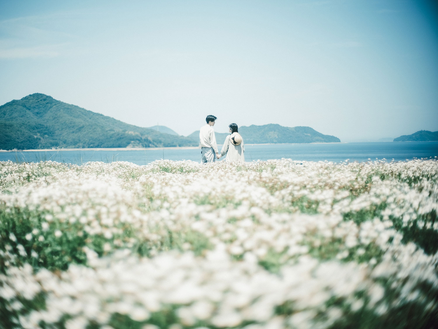 @doi_natsumi_「白いお花畑」