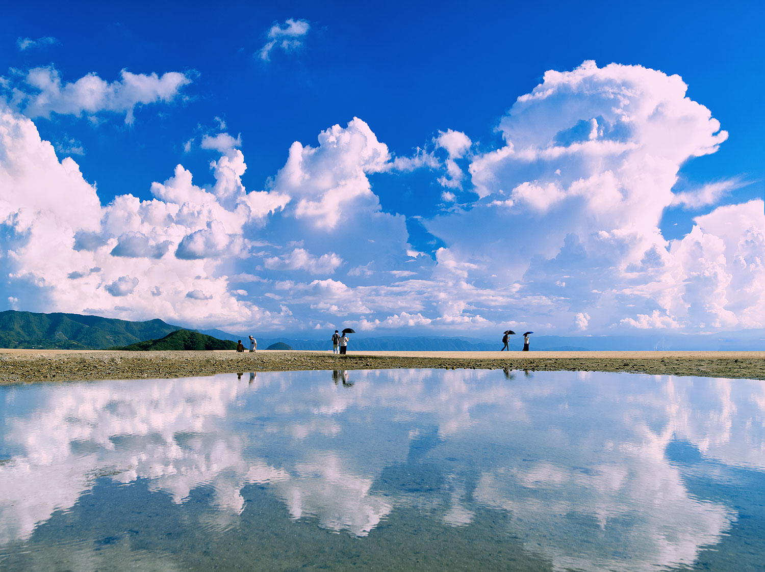 眞鍋 勝一(香川県三豊市)「夏日」