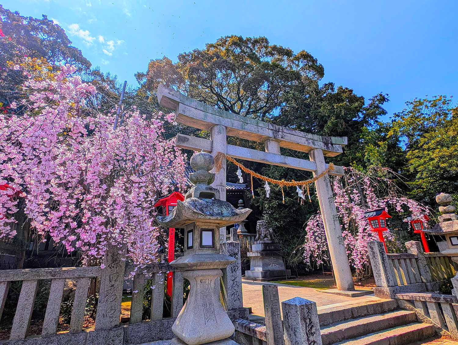 安部 尚子(香川県丸亀市)「浪打八幡宮」