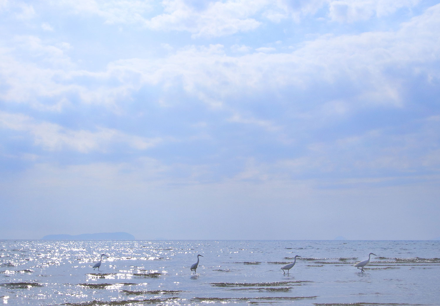 笹田 雅代 （愛媛県大洲市）「浜辺の行進」