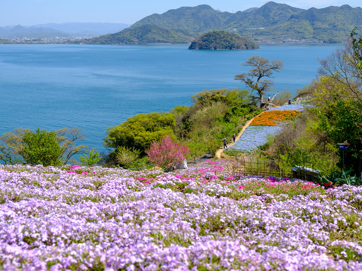 大池 孝志(香川県仲多度郡)「離島の楽園」