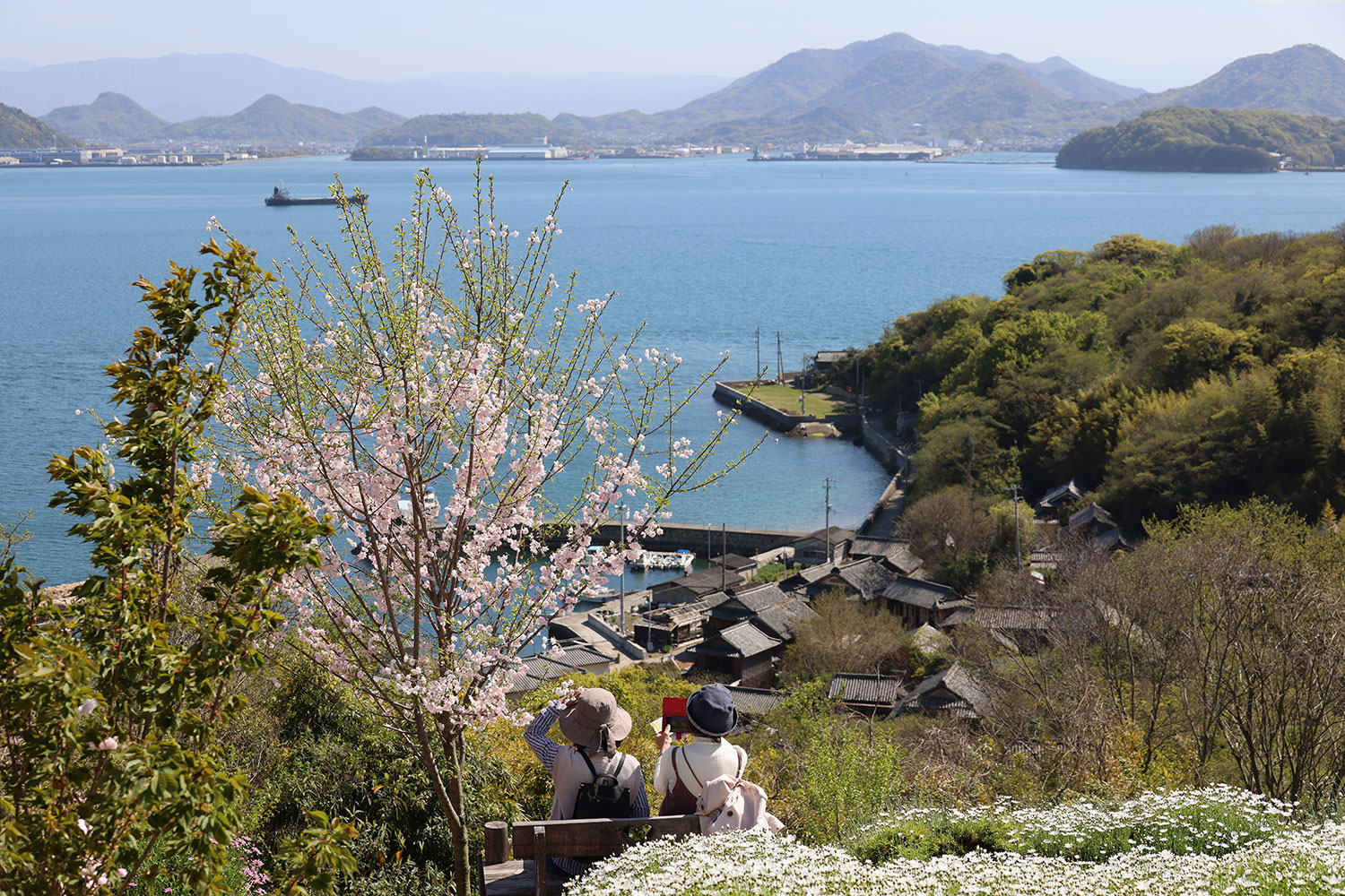 林 和彦(香川県木田郡)「春の島時間」