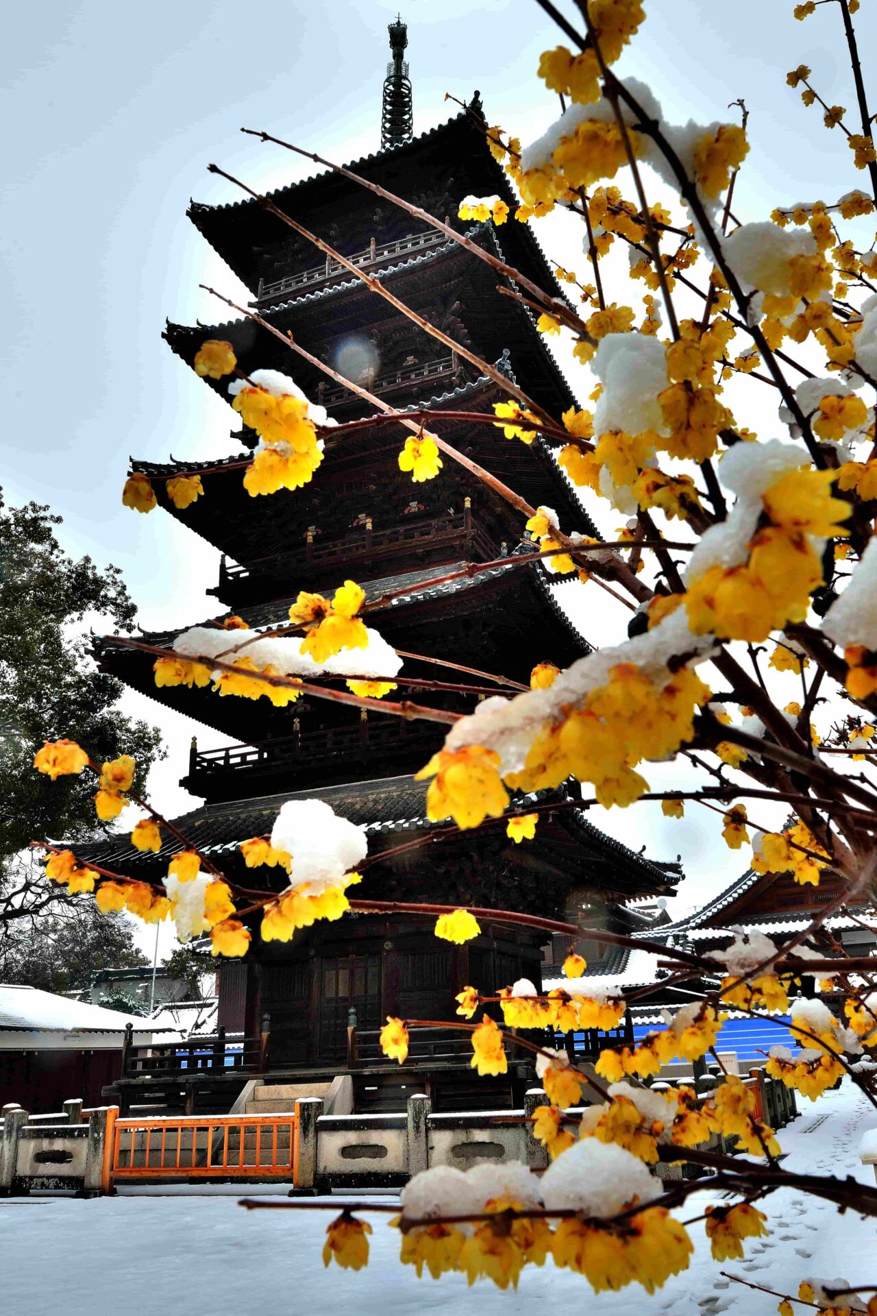 石角尚義（三豊市）「本山寺雪景」