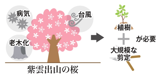 倒木、老木化、病気などの影響で植樹や大規模な剪定が必要