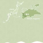 section_bg_01_sp