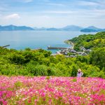 shishijima_img_13