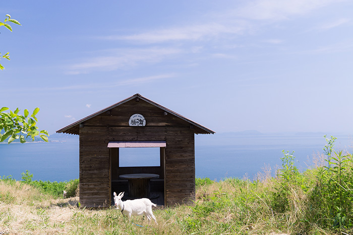 ▲瀬戸内を一望できる展望台