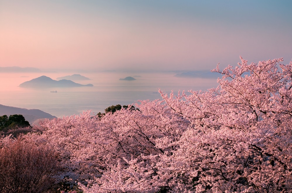 紫雲出山（しうでやま）