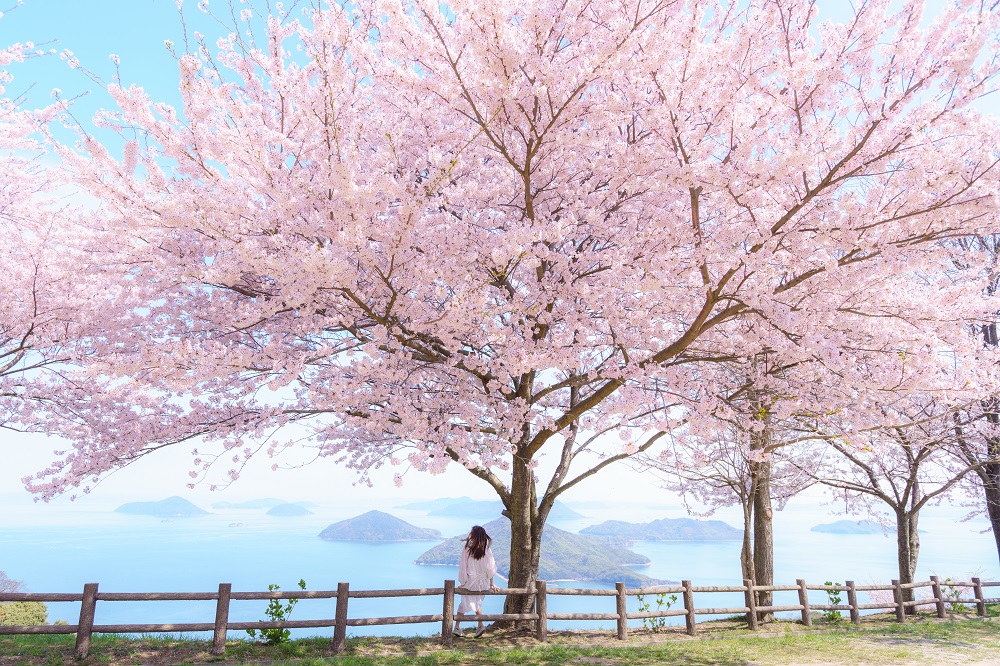 紫雲出山（しうでやま）