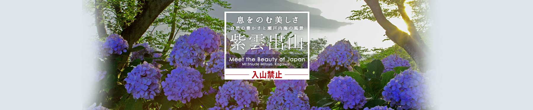 息をのむ美しさ自然の豊かさと瀬戸内海の風景紫雲出山