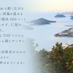 sohokinari-m-lp_08