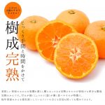 sohokinari-m-lp_10