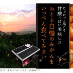 sohokinari-m-lp_11