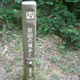 t-img_link_10