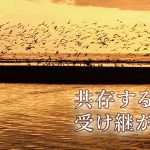 titibu_slider_02