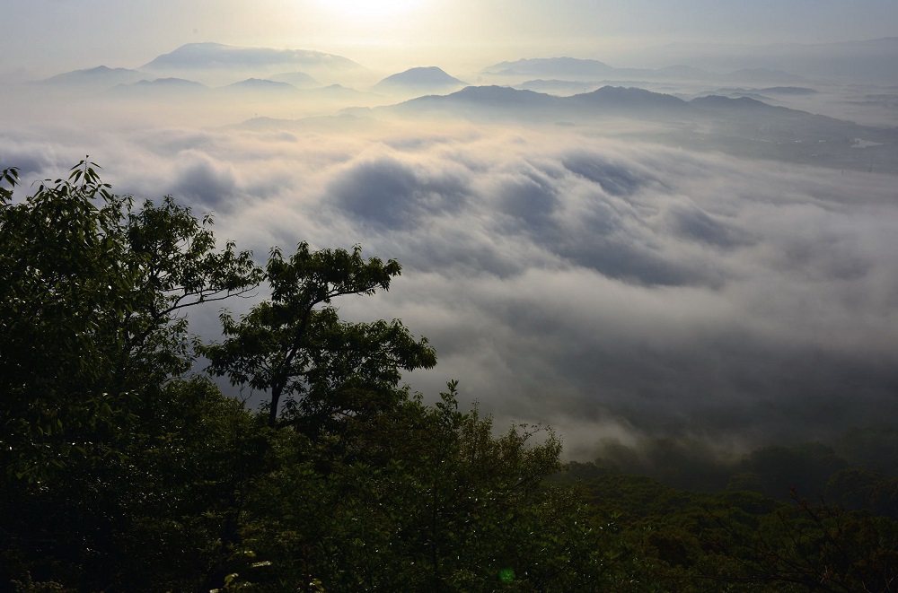 篠原 政雄 (香川県三豊市) 「雲海踊る」