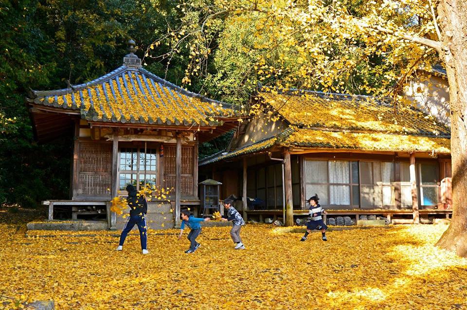 おすすめ紅葉スポット 香川県三豊市 三豊市観光交流局