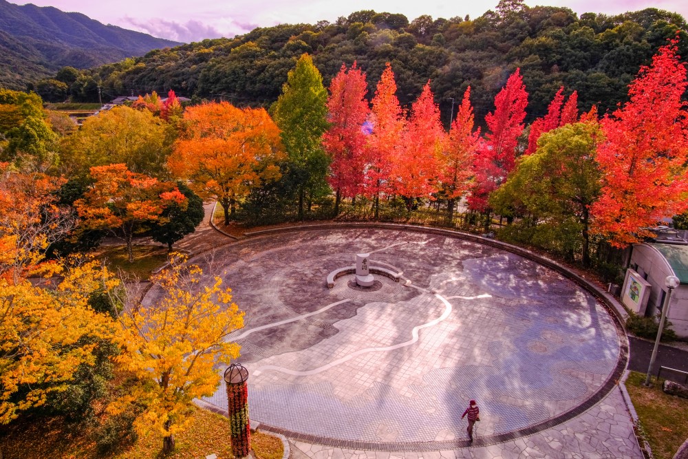 五十嵐　宏子（高松市）　「紅葉サークル」