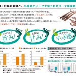 成分分析表